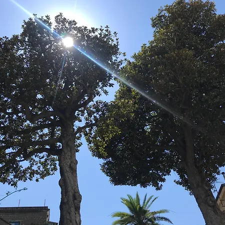 Falconieri Sorrento Apartamento